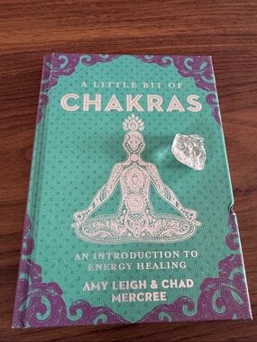 A Little Bit of Chakras Hardcover - Turquoise & Purple